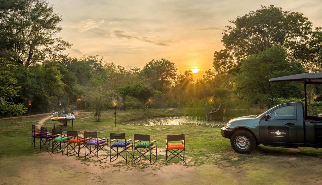 Mahoora - Wilpattu By Eco Team Hotel Exterior photo